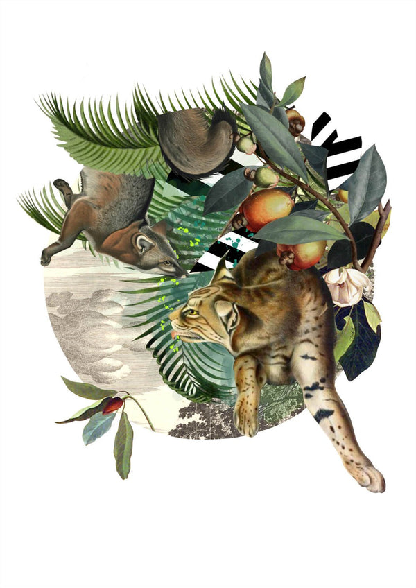 Fox & Lynxs' Tropical Escape Print - Jackdaw Living